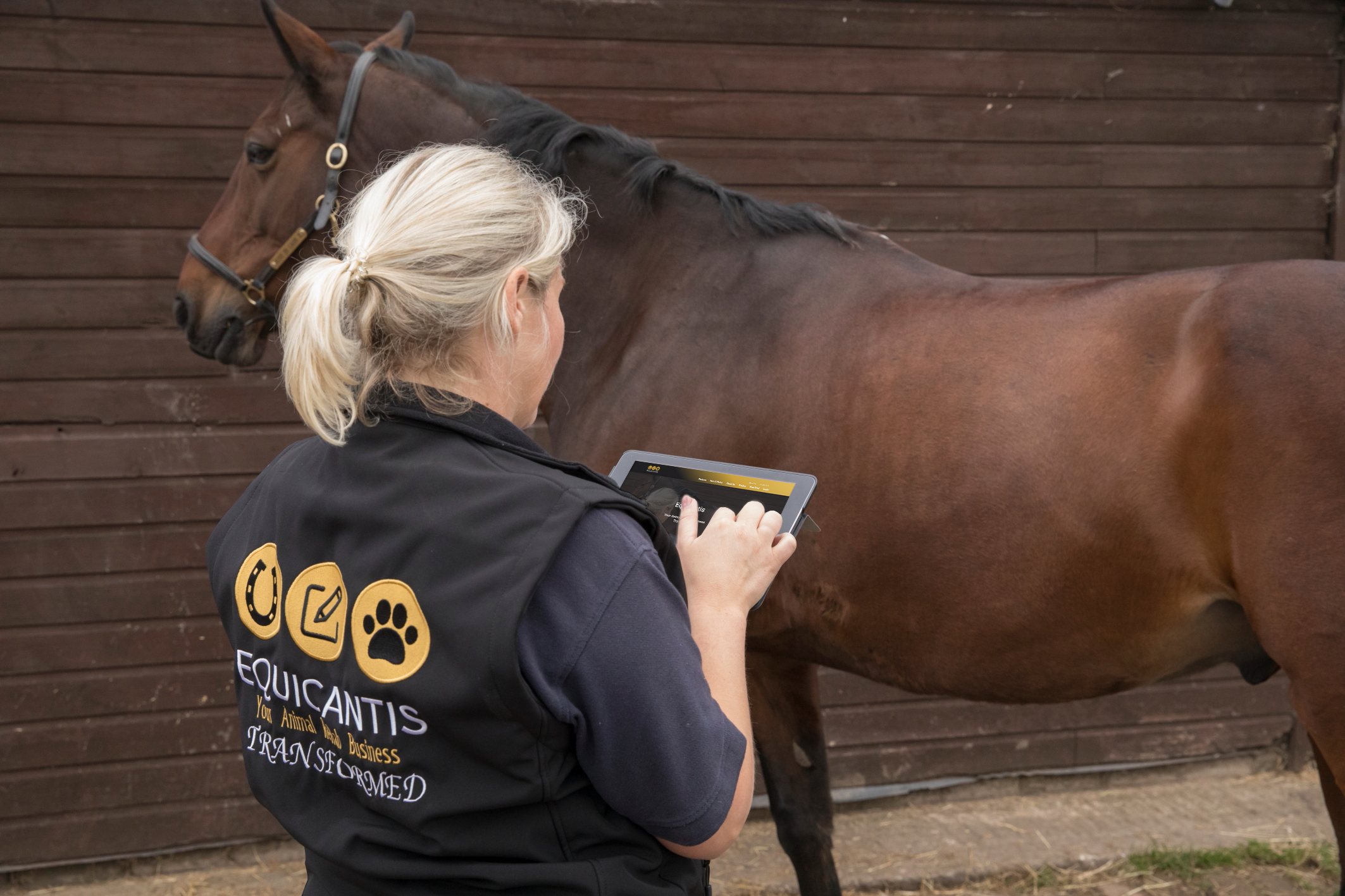 Equicantis can be used on a tablet such as an iPad