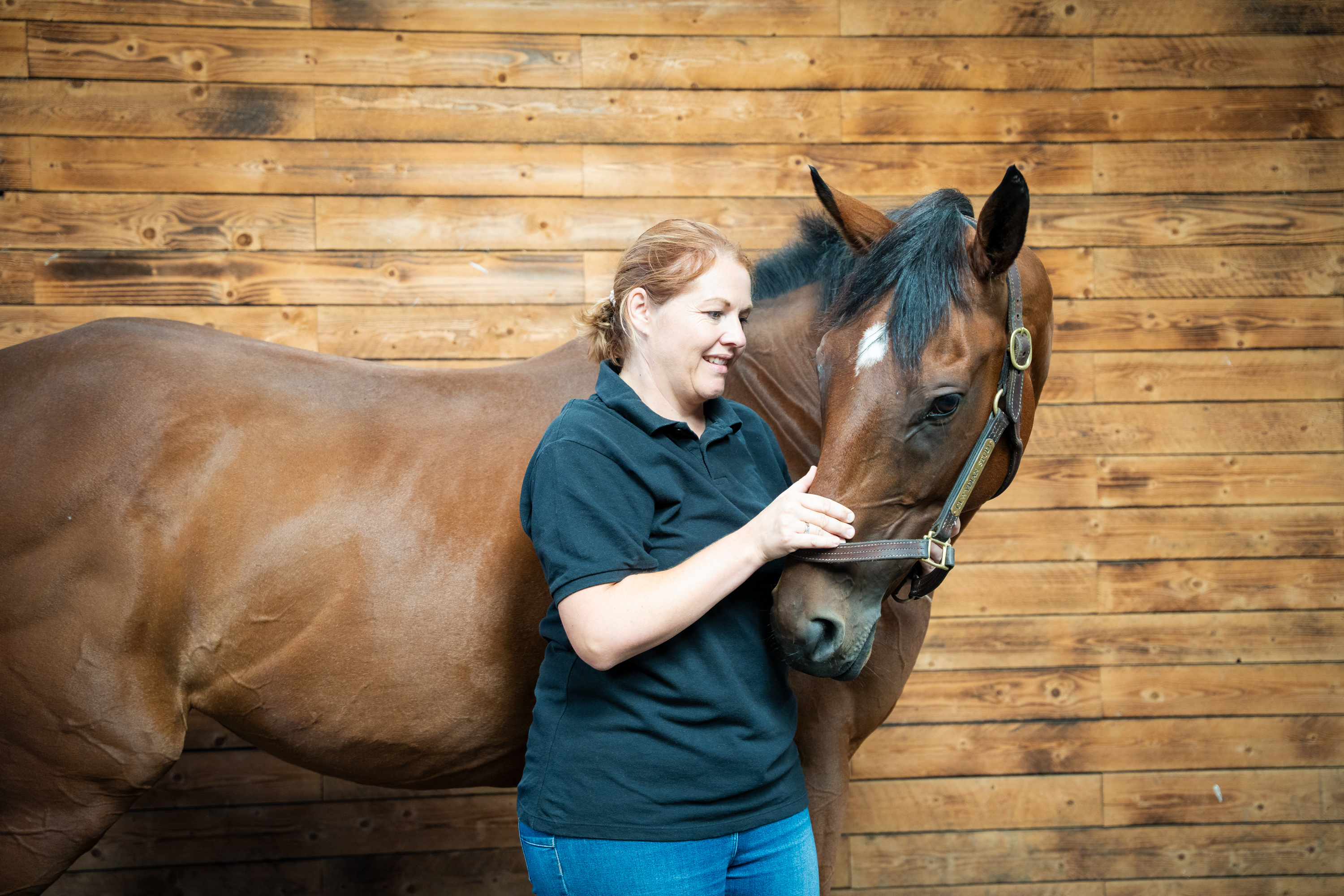 Equine neck hug mobilisation stretch
