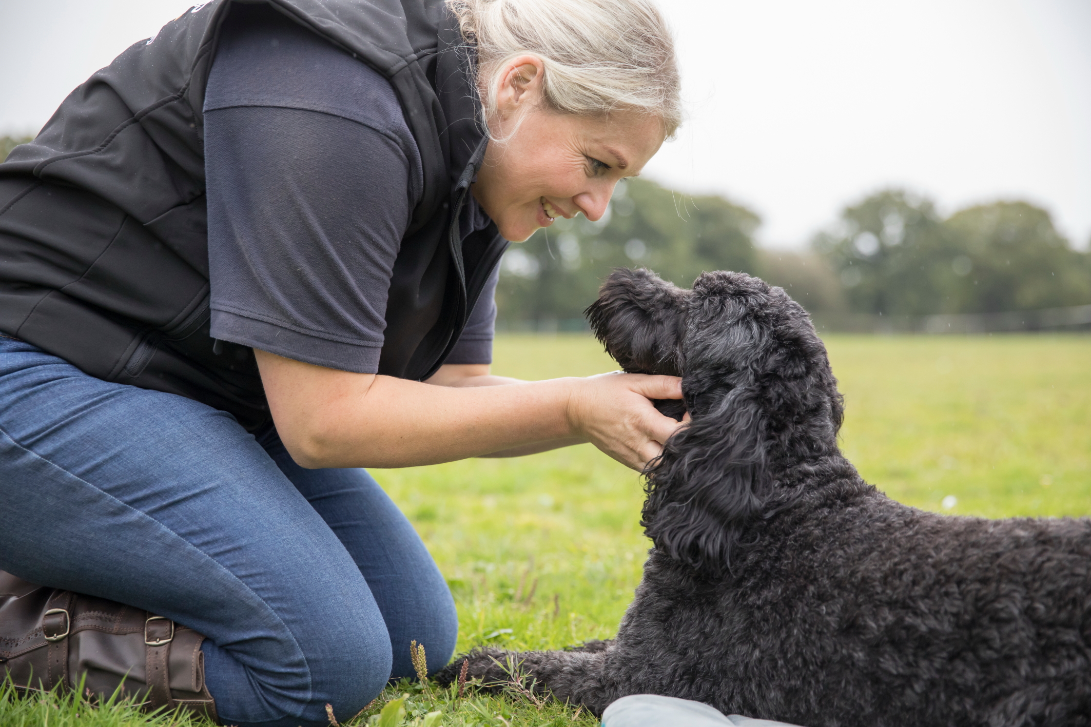 Canine exercise prescription app