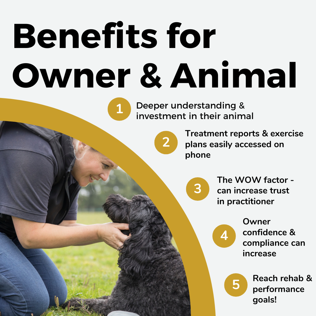 Equicantis benefits for owners and animals