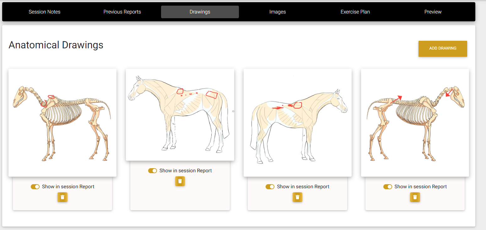 Equicantis annotate anatomical diagrams