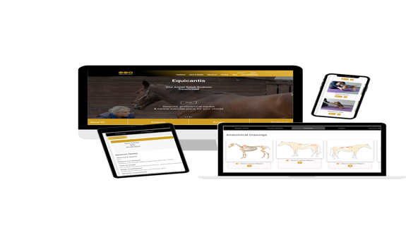 Celebrating One Year of Equicantis Version 2.0: A Leap Forward for Animal Physical Therapists